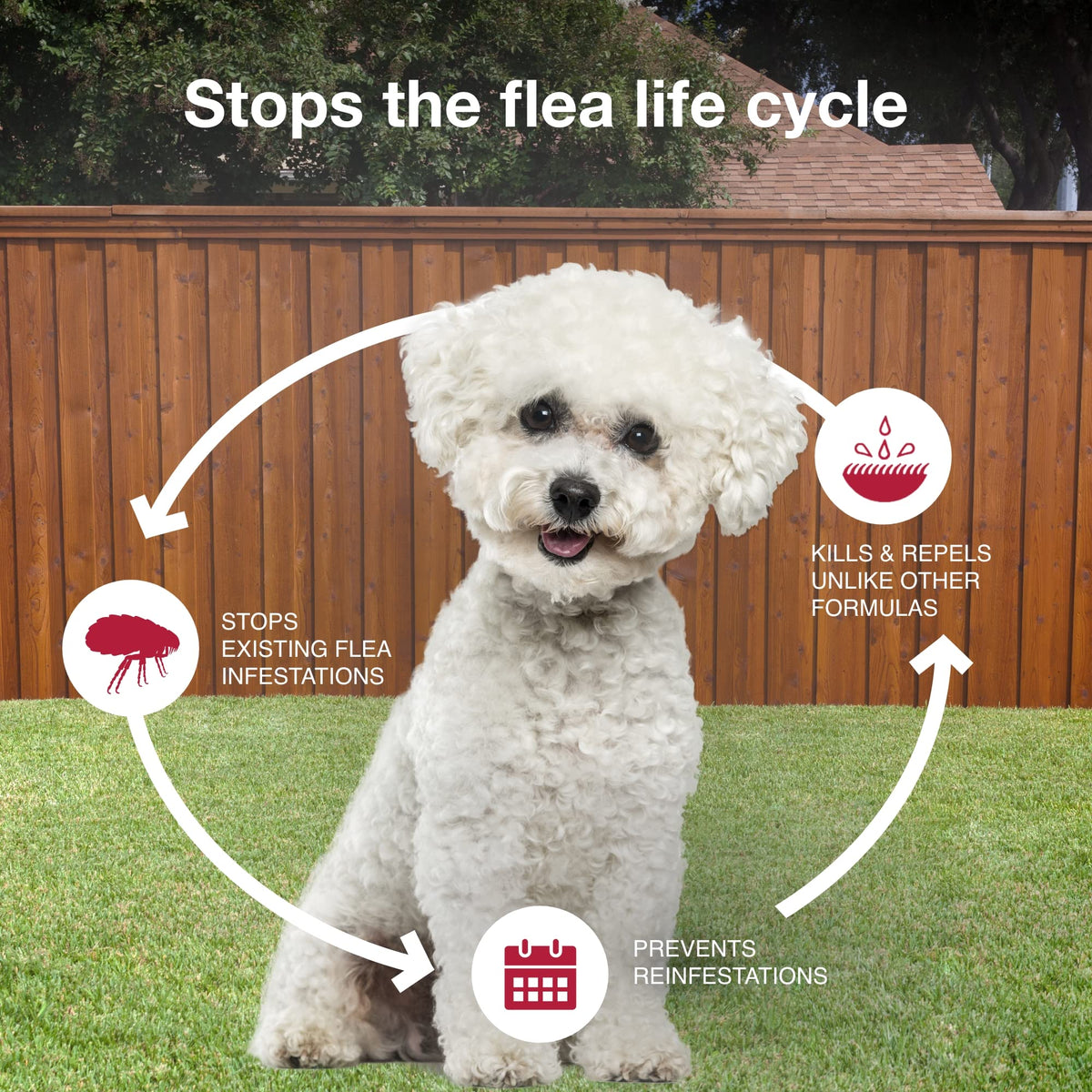 Flea, Tick & Mosquito Treatment & Prevention for Dogs 4-10 lbs M570