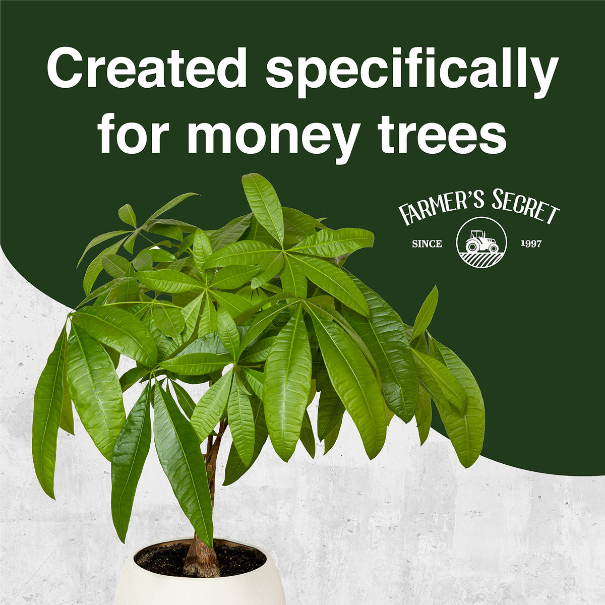 Money Tree Liquid Plant Food Fertilizer 8oz Concentrated A84416